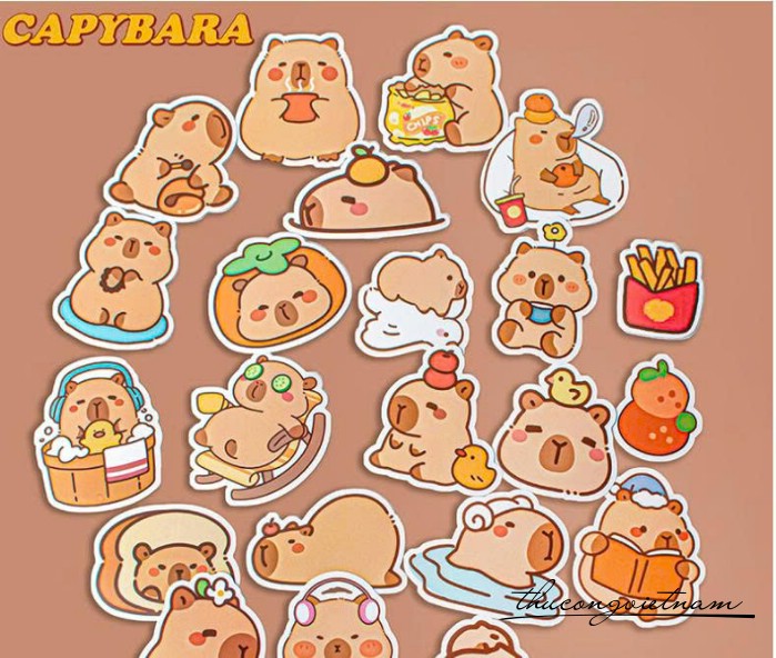 Bịch 50 sticker Capybara nhiều mẫu