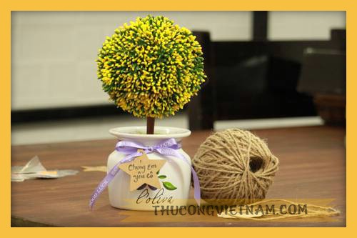 Cây cẩm tú cầu vàng