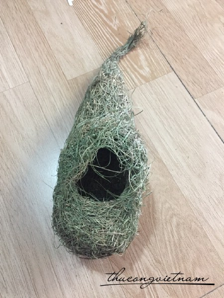 Tổ chim cỏ rừng mẫu 2