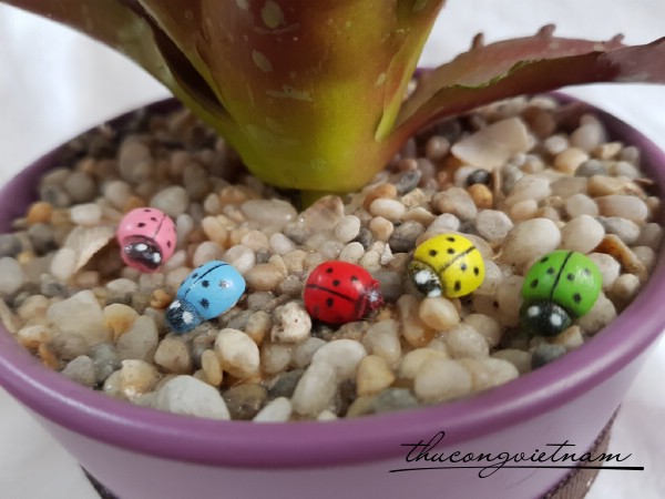 Mô hình bọ rùa 5 con