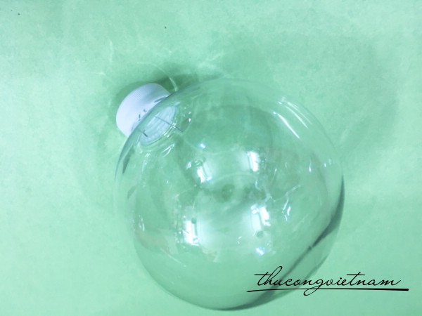 Quả châu trong 15cm (trái nguyên)